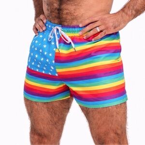 Chubbies Men’s Love is Love Pride 5.5” Swim Trunks Large